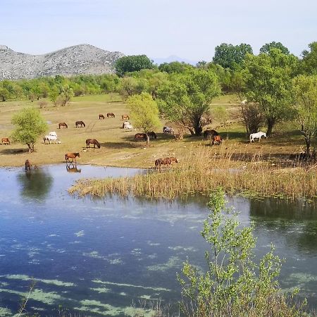 Wild Beauty House Skadar Lake Cetinje Extérieur photo