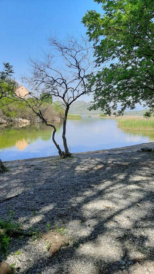 Wild Beauty House Skadar Lake Cetinje Extérieur photo