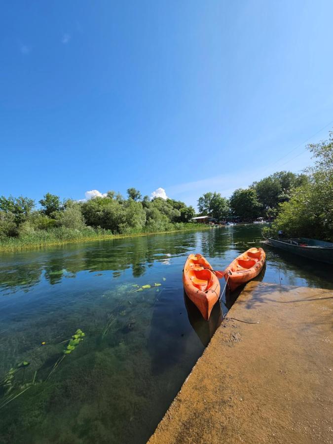 Wild Beauty House Skadar Lake Cetinje Extérieur photo
